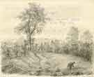 Old Ash which overhung the spot where the lane from the Park Ward to the Manor is excavated through the hill. Sheffield Park. Blown down in a gale during the night of Jan. 25th 1819 (sketched by John Holland Brammall (when a boy))