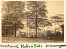Hallam Gate, Crookes, residence at the time of Charles Hoole (1805 - 1876) and later residence of his son-in-law Arthur Wightman (1842 - 1924), c. 1870