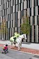 View: c03942 Police horses outside The Moor multi storey car park on Eyre Street