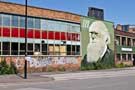 View: c04675 Grafitti / street art, Charles Darwin, Sidney Street by Rocket01