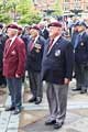 View: c04698 Armed Forces Day, Sheffield