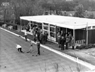 Bowling at Bingham Park bowling green and the new pavilion Bowling at Bingham Park bowling green and the new pavilion