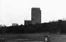 Norfolk Park flats (Kenninghall Mount), taken from the playing fields behind the Working Men's Club on East Bank Road