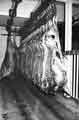 Cold hanging room, Sheffield Corporation Abattoir, Cricket Inn Road