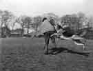 Police work - Police dog in action
