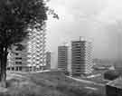 Netherthorpe Flats