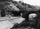 View: s33279 Railway bridge across the River Sheaf at Abbeydale