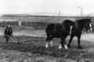 Ploughing at Darnall Community Farm, Acres Hill Lane Ploughing at Darnall Community Farm, Acres Hill Lane