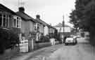 Cat Lane, Heeley