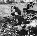 Troops of the 9th Battalion King's Own Light Infantry (Yorkshire Dragoons) dig in during the Italian Campaign