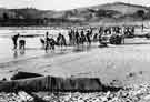 Troops of 270 Field Company, assisted by men of the 115 Light Anti-Aircraft Regiment constructing a ford across the River Metauro, Italy