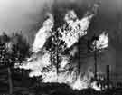 Fire at Ringinglow during the drought of 1976