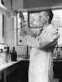 Chemist at work, Water Department Laboratory, Moonshine Lane, Southey Green Chemist at work, Water Department Laboratory, Moonshine Lane, Southey Green