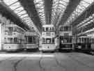 Trams used in the Last Tram Week celebrations 