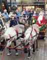 View: s42335 Father Christmas and reindeer in Orchard Square 