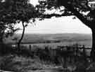 South west view from Lightwood Lane, Norton looking across the Moss Valley towards Owler Carr Wood