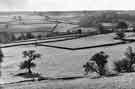 View of the Mayfield Valley from Harrison Lane View of the Mayfield Valley from Harrison Lane