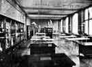 The Anatomical laboratory (dissecting room) at the University of Sheffield