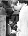 Stuart Oldale producing serated edges for knives at Allcut Cutlery Co.(Sheffield) Ltd., No.72 Arundel Street