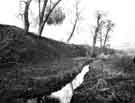 Hartley Brook Dike, Ecclesfield at rear of High Greave