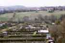 Allotments at Cross Hill, Ecclesfield looking towards Shiregreen
