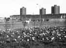 Tower Blocks on Jordanthorpe / Batemoor housing estate, Dyche Drive