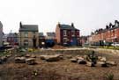 Taplin Road, Hillsborough - new gardens at juntion with Haden Street