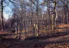 Wood collier's Memorial, Ecclesall Woods (George Yardley, charcoal burners grave)