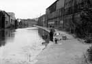 Boys fishing on Sheffield and South Yorkshire Navigation (canal)