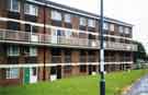 Flats prior to demolition, probably Catherine Road, Burngreave