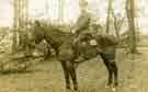 Driver Thomas Sidney Hanson, Royal Engineers on horse