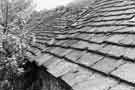 Roof of Stumperlowe Cruck Barn, Stumperlowe Hall Road Roof of Stumperlowe Cruck Barn, Stumperlowe Hall Road