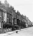 Alexandra Road, Heeley