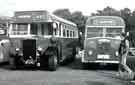 View: t11399 Old Bus Parade in Norfolk Park, possibly 1979