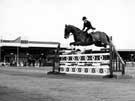 Show Jumping Grand Final, Sheffield and Hallamshire Championship, Owlerton Sports Stadium