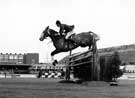 Show Jumping Grand Final, Sheffield and Hallamshire Championship, Owlerton Sports Stadium