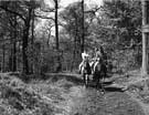 Horse riding in Ryecroft Glen [Ecclesall Woods] 