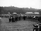 View: u07157 World War Two, Holidays at Home - Food Production Show / gymkhana (possibly in Endcliffe Park)