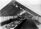 View: u07158 World War Two, Holidays at Home - Vegetable, Fruit and Flower Tent, Food Production Show, Endcliffe Park