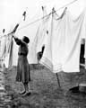 Mavis Howes hanging out her washing in Shiregreen in the 1950s