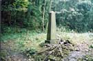 Obelisk memorial to NCO's and privates who died in Hillsborough Barracks, Wardsend Cemetery