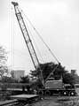 View: u08118 Crane on site at the construction of footbridge over the Jervis Lum Woodland, Norfolk Park,