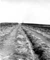 Ancient trackway leading to Stanage Pole
