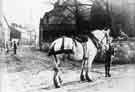 Horse on Main Street, Hackenthorpe c.1905