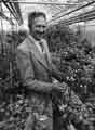 John Crossle, manager, Sheffield Recreation Department's Norton Nursery, Norton Lane  