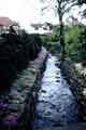 View showing 100 Abbeydale Road South (the white house) with a stream which runs under Abbeydale Road South and into the River Sheaf. View showing 100 Abbeydale Road South (the white house) with a stream which runs under Abbeydale Road South and into the River Sheaf.