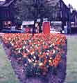 Flower bed at junction of Rustlings Road and Ecclesall Road Flower bed at junction of Rustlings Road and Ecclesall Road