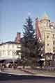 Christmas tree on Fargate showing (left) No. 70 H. L. Brown and Son Ltd., jewellers