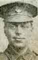 Private Albert Rose, King Own Yorkshire Light Infantry, Penistone, killed