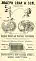 Advertisement for Joseph Gray and Son, manufacturers of surgical, dental and veterinary instruments, Truss Works, New George Street (latterly Boston Street)